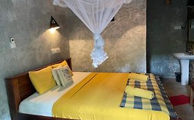 Lizard Safari Lodge